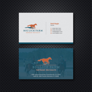 Business Card Design by Pinar™ for Big Lick LLC | Design #20038964