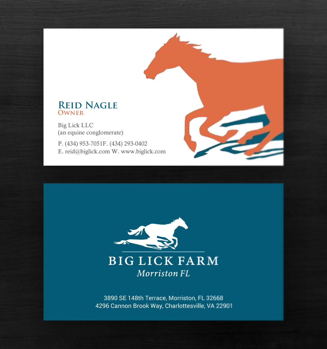 Business Card Design by chandrayaan.creative for Big Lick LLC | Design #19982554