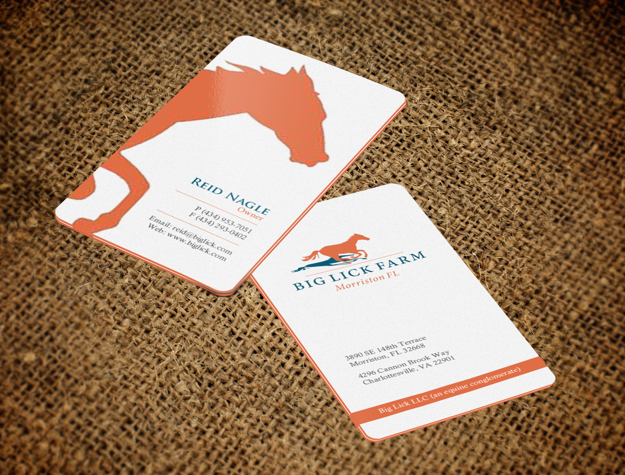 Business Card Design by chandrayaan.creative for Big Lick LLC | Design #19986807