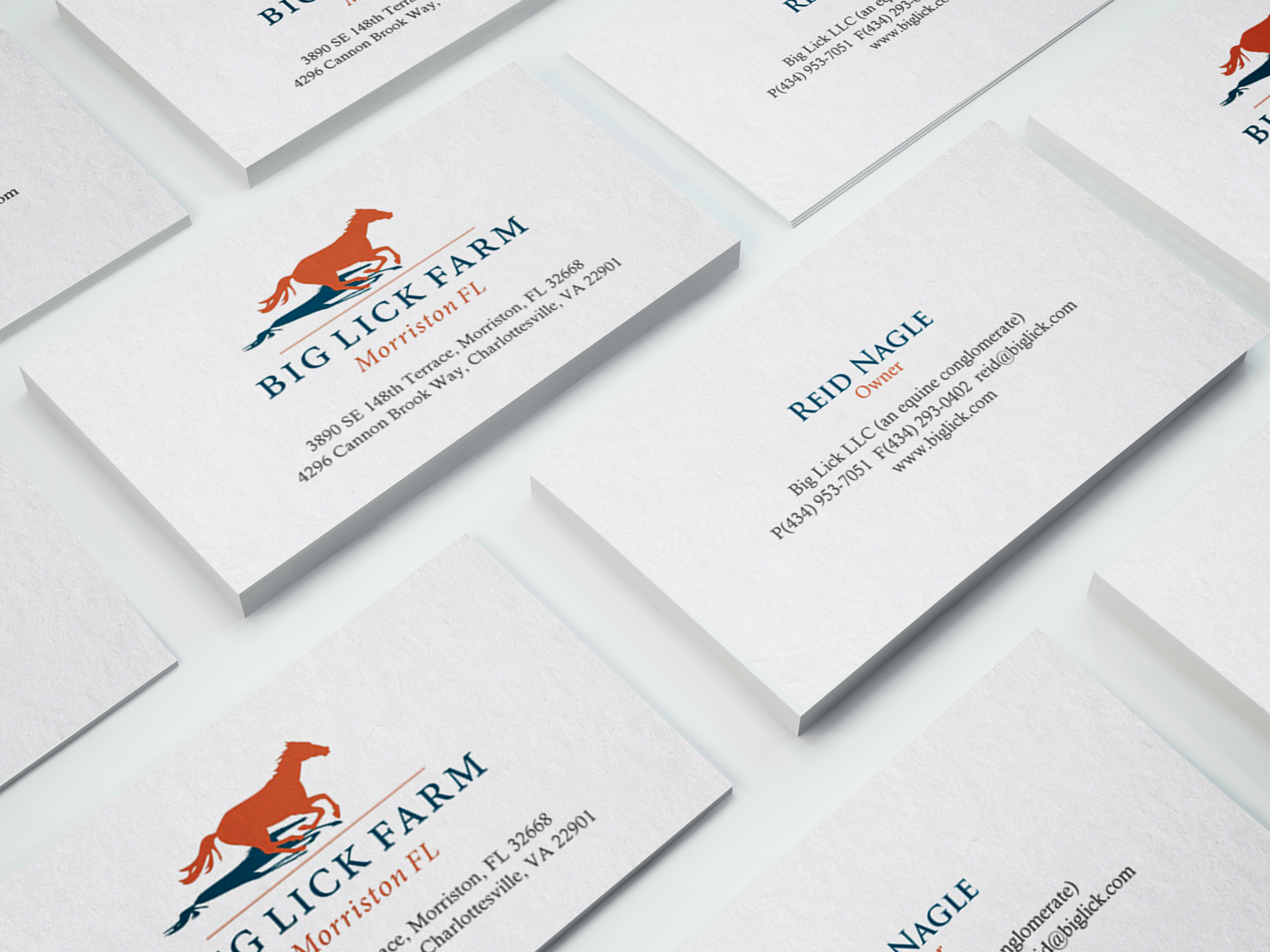 Business Card Design by chandrayaan.creative for Big Lick LLC | Design #19986808