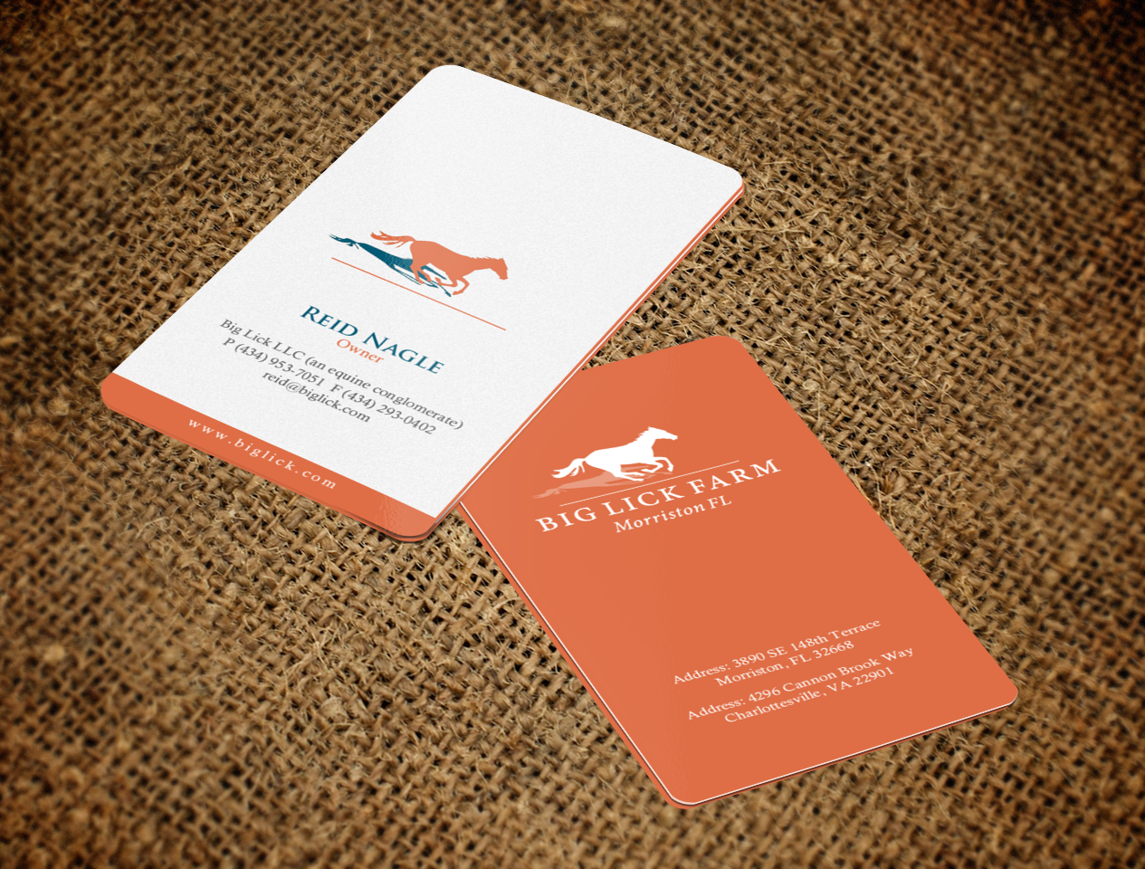 Visitenkarten-Design von chandrayaan.creative für Big Lick LLC | Design #19986809