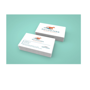 Business Card Design by sharafatali3333 for Big Lick LLC | Design #20038519
