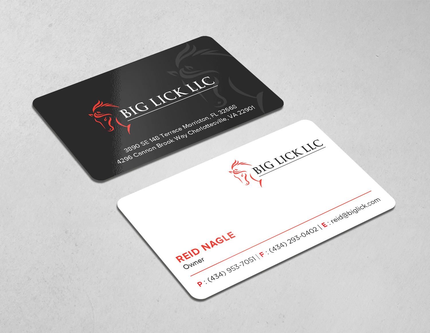 Business Card Design by Tripti Ranjan Gain for Big Lick LLC | Design #19995709
