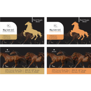 Business Card Design by samuelautomotiveservice@gmail.com for Big Lick LLC | Design: #19982769
