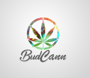 Logo Design by adnankhan for this project | Design #19988951