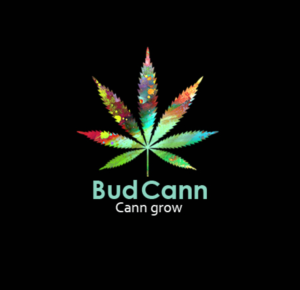 Logo Design by adnankhan for this project | Design: #19991909