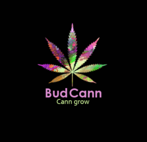Logo Design by adnankhan