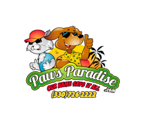 Diseño de Logo por Jay Design