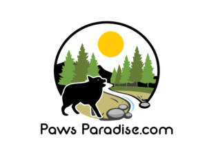 Logo Design by NEOTERIC