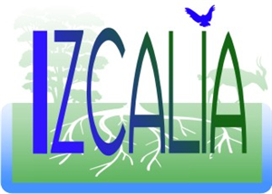 Logo Design by ChrisMoon for IZCALIA | Design: #2924126