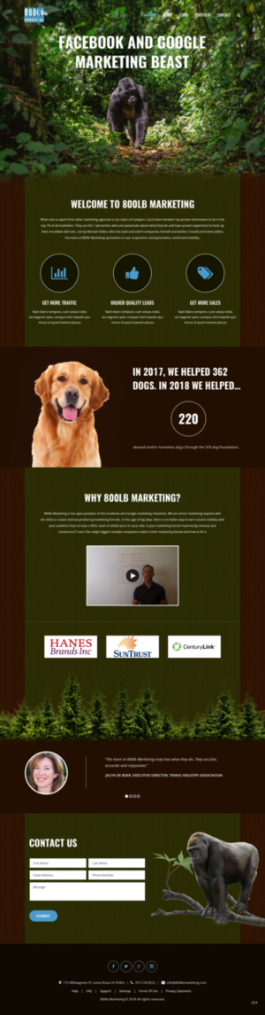 Web-Design von pb für dieses Projekt | Design: #20014244