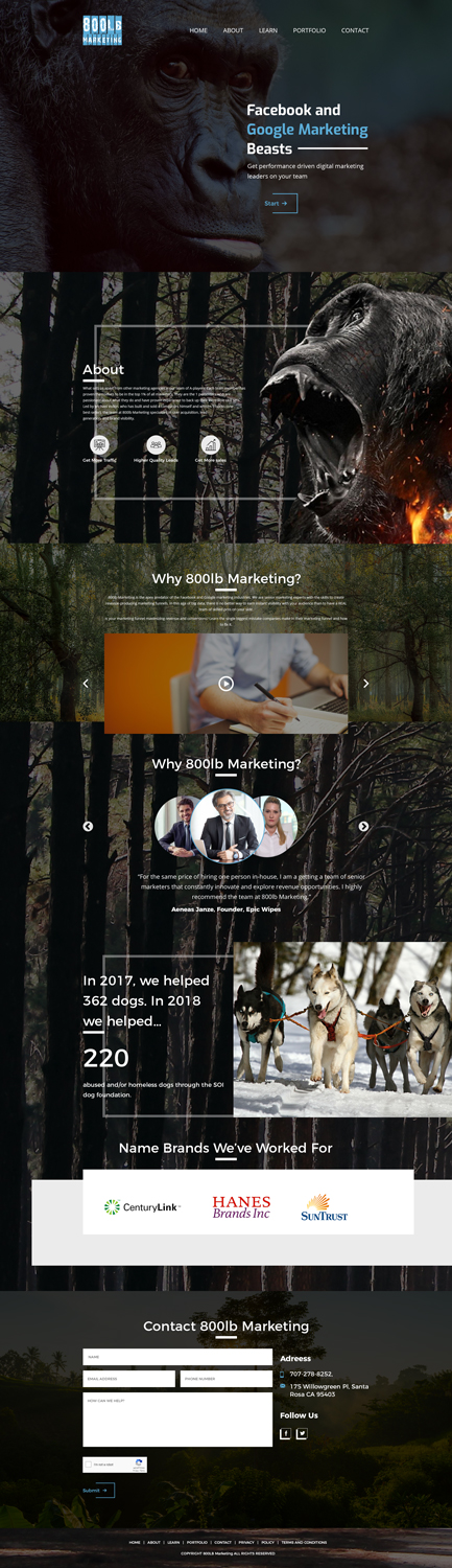 Web Design par MuhammadHussnain pour ce projet | Design #20042194