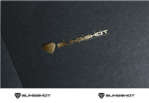 Logo Design by Verified artistry (Design garden) for Houston Slingshot Rental | Design: #20052427