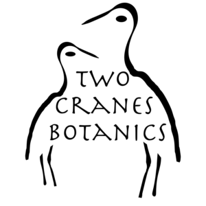 Logo Design by FollowTheRiver