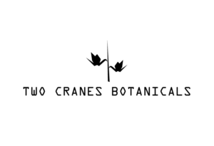 Logo Design by DesignerEff