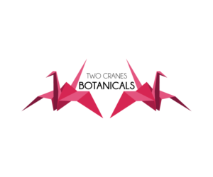 Logo Design by zoltibo