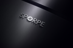 Logo Design by skyDesignbox for this project | Design: #20023487