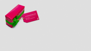 Underwraps:  The Gift We Never Expected | Graphic Design by desainerd