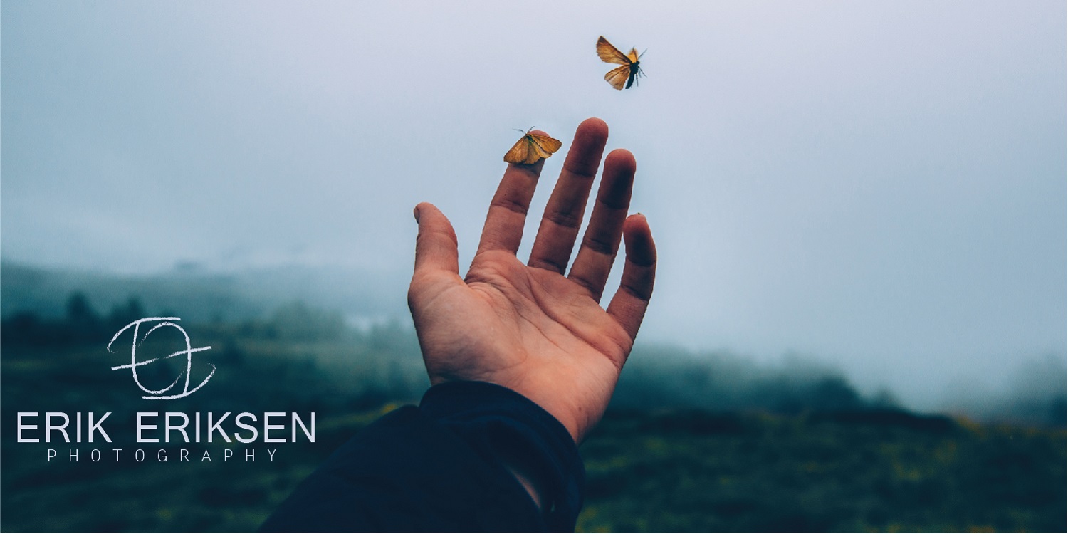 Logo Design by Dades design for this project | Design #20029567