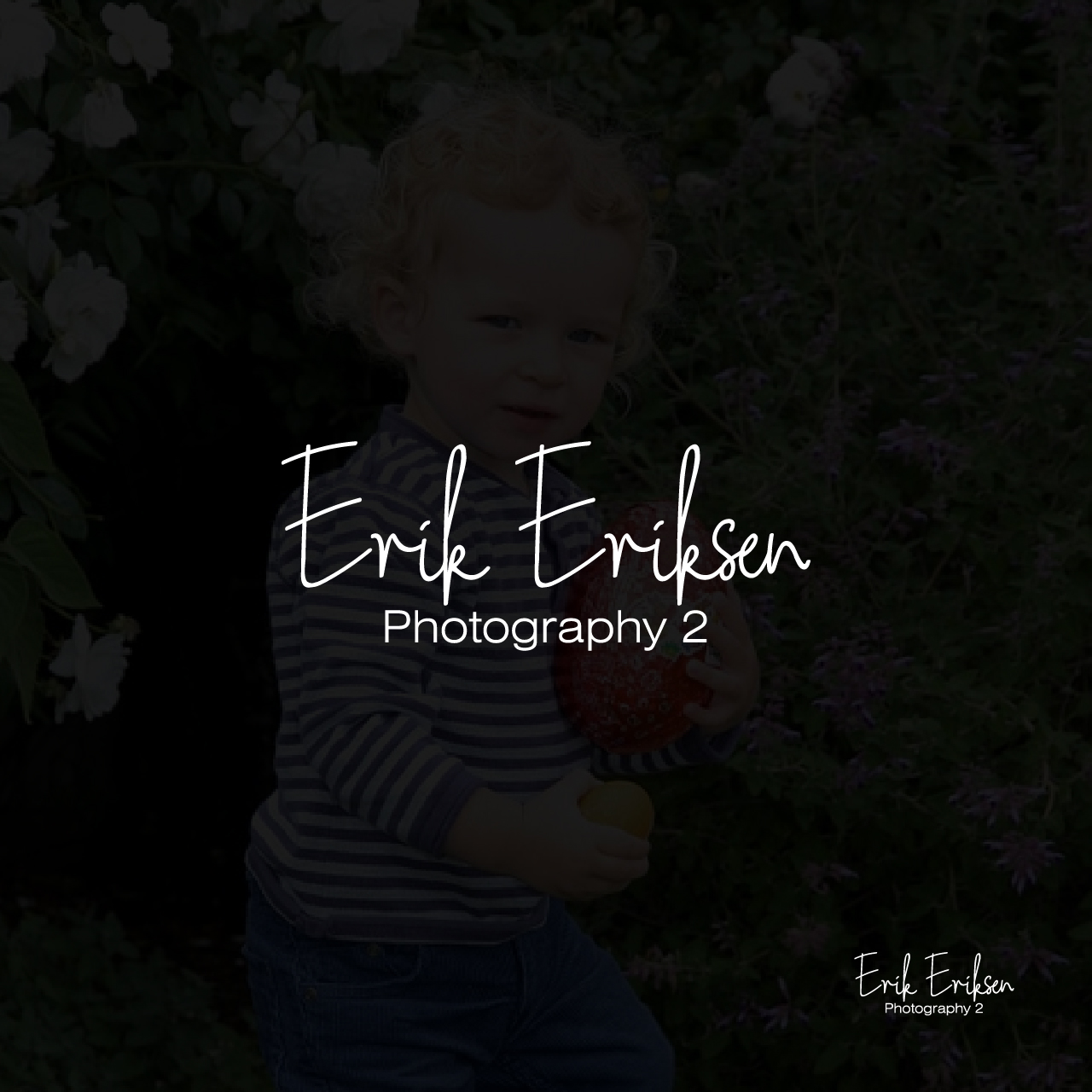 Logo Design by VinVick Design for this project | Design #20026232