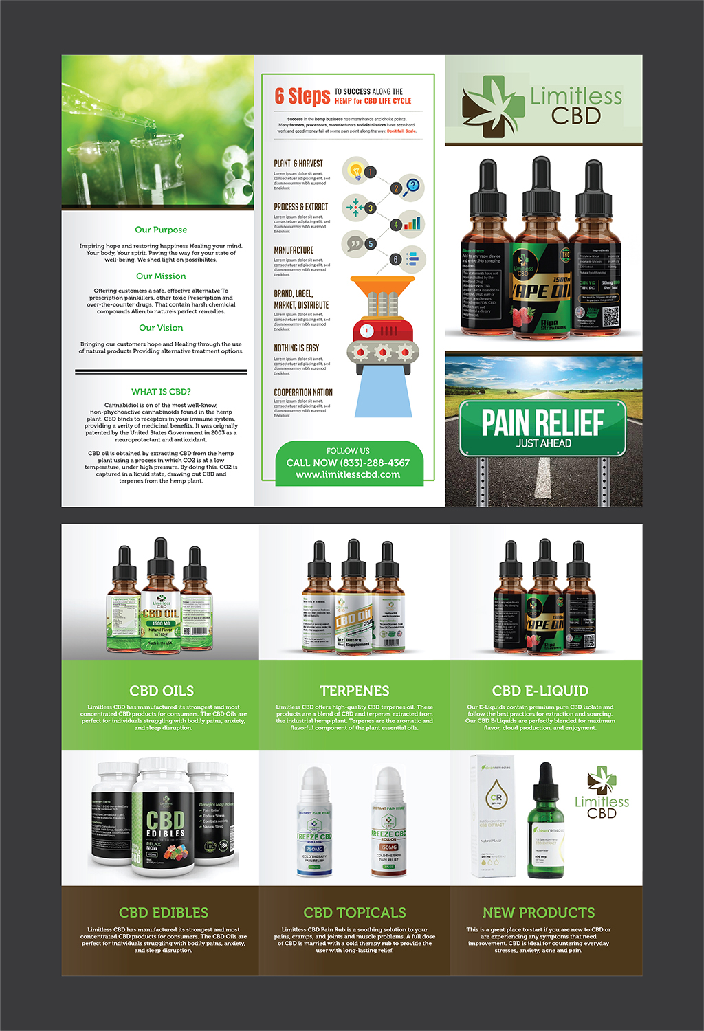 Flyer Design by Deziners Zone for this project | Design #20028718