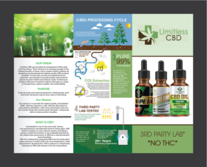 Flyer Design by Deziners Zone for this project | Design: #20051952