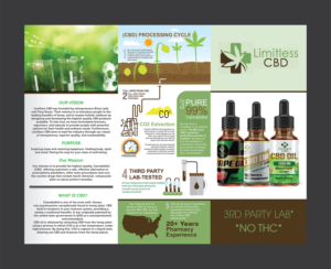 Flyer Design by Deziners Zone for this project | Design: #20078559