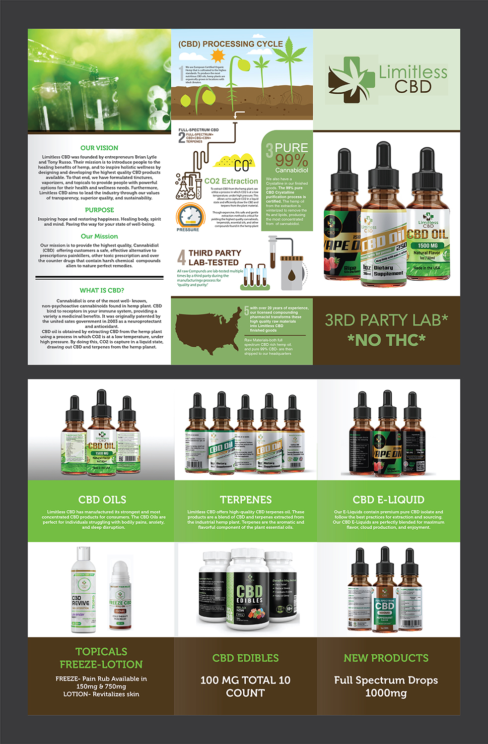 Flyer Design by Deziners Zone for this project | Design #20216269