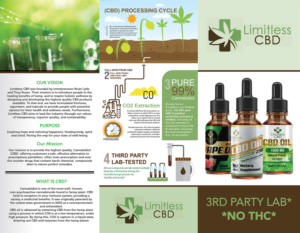 Flyer Design by Deziners Zone for this project | Design: #20282667