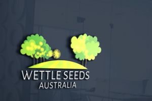 Logo Design by HMTahir