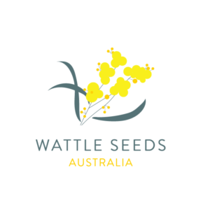 Logo Design by Kimh