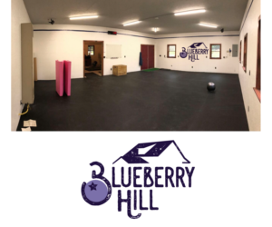 Blueberry Hill | Logo Design by Buck Tornado