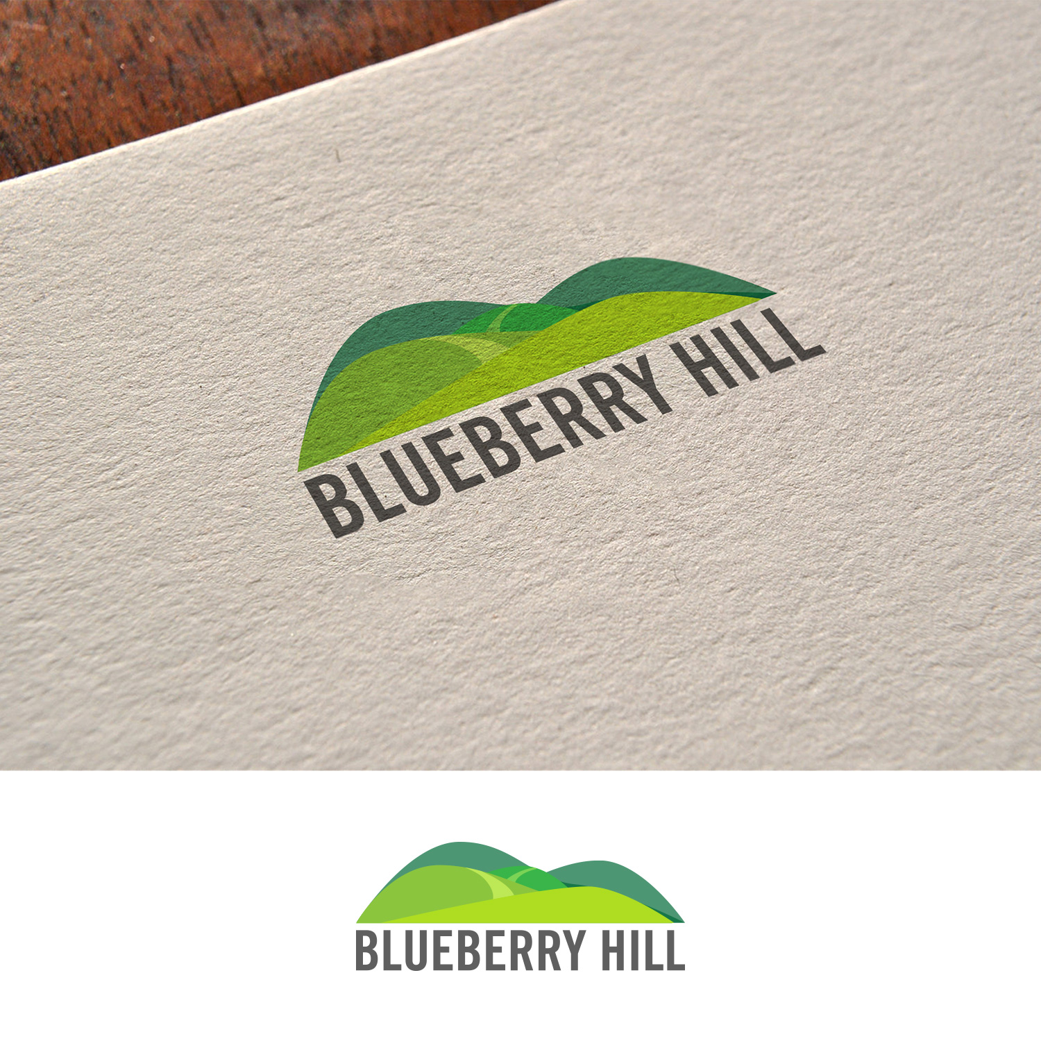 Logo Design by DesignDUO for this project | Design #20045589