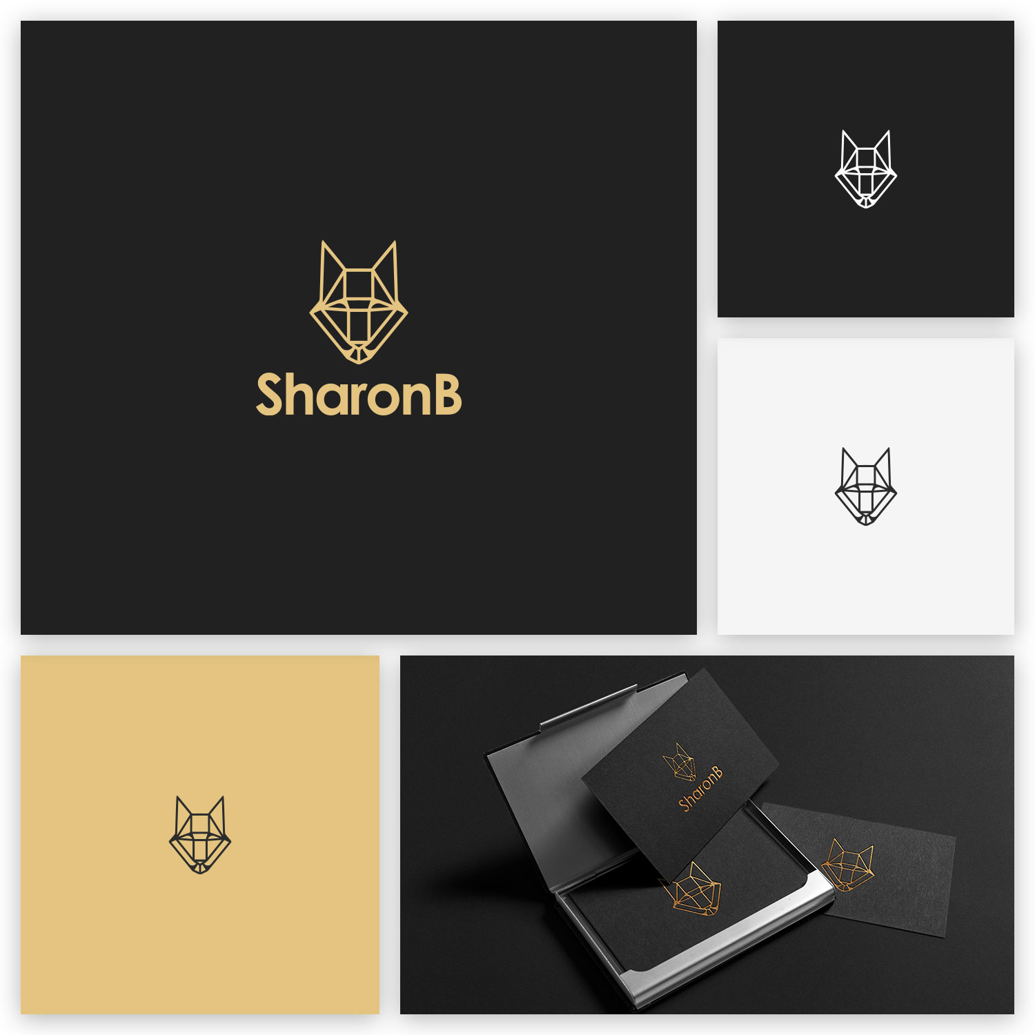 Logo Design by Decos Studio for Designer Brain B.V. | Design #20034647