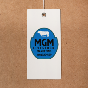 Logo Design by Agustin  Designer