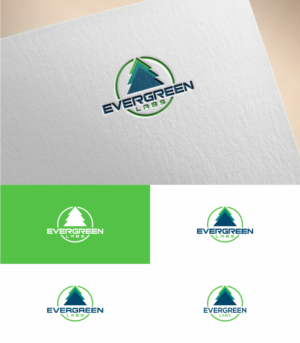 Logo Design by MKR for Avalanche | Design: #20088272