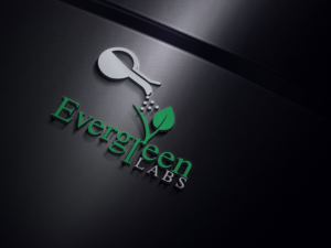 Logo Design by appledesign 3 for Avalanche | Design: #20045925