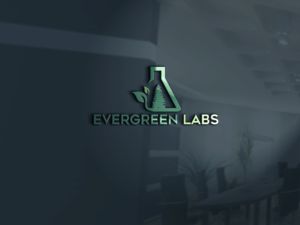 Logo Design by Rosaleen for Avalanche | Design: #20060585