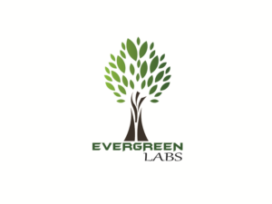 Logo Design by Buildsmart