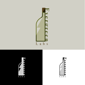 Diseño de Logo por remon_panman para Avalanche | Diseño #20074787