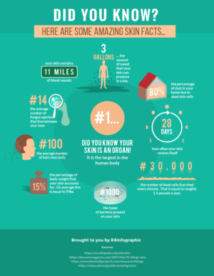 Infographic Design by MNM