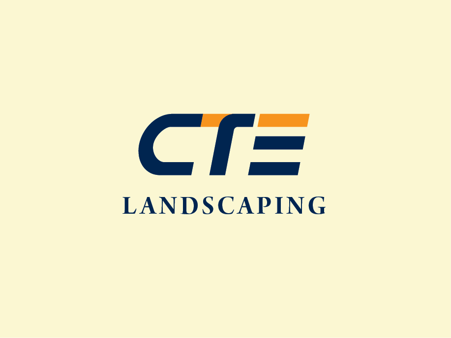 Logo Design by dhamkith for CT Enterprises | Design #20093142