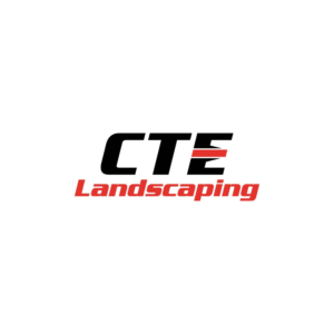 Design de Logo par aspiremedia pour CT Enterprises | Design : #20057131
