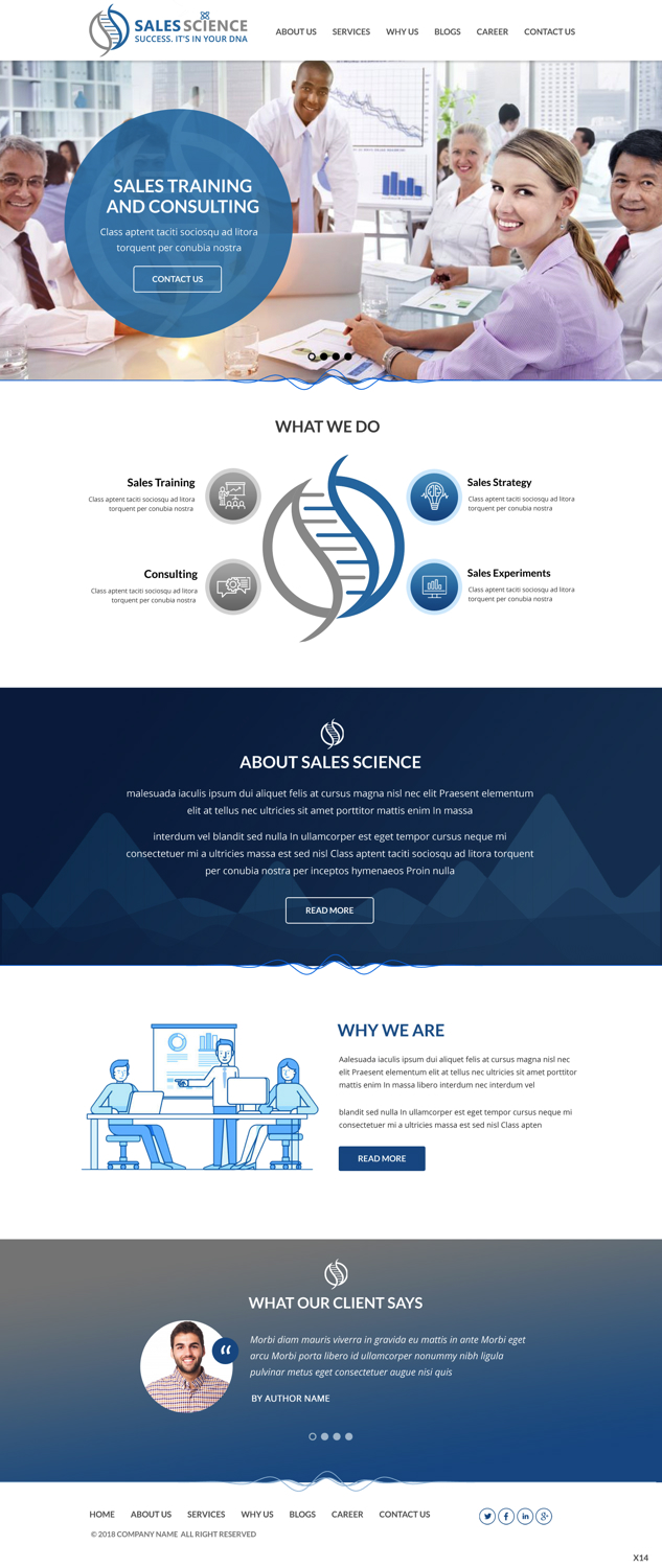 Diseño Web por pb para Sales Science LLC. | Diseño #20083460