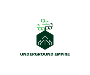 Diseño de Logo por dianagargaritza para este proyecto | Diseño: #20063435