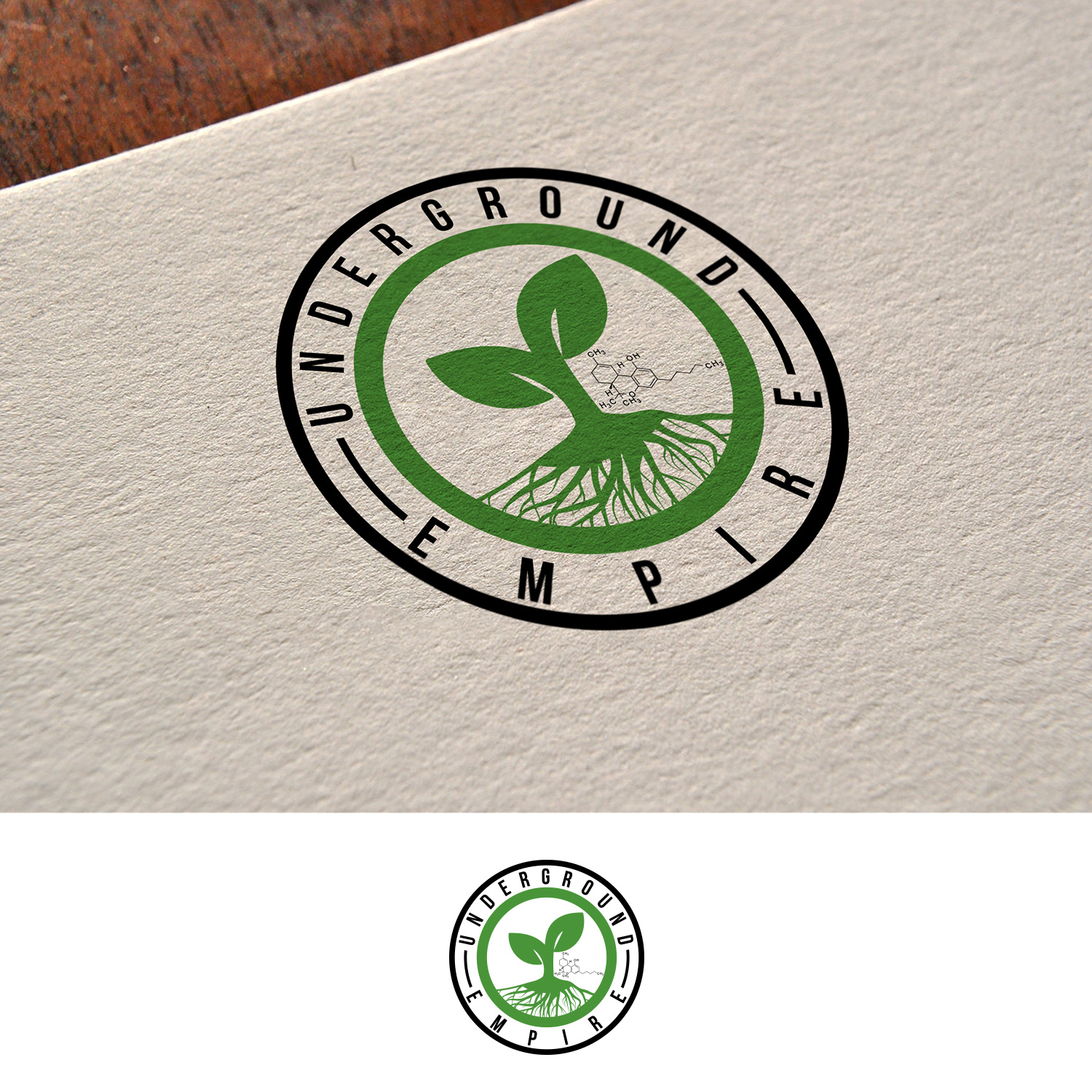 Diseño de Logo por DesignDUO para este proyecto | Diseño #20081366