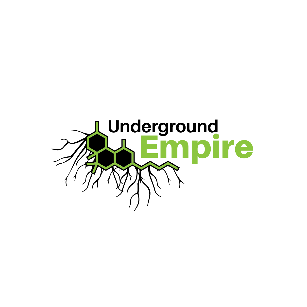 Diseño de Logo por rozT para este proyecto | Diseño #20123825