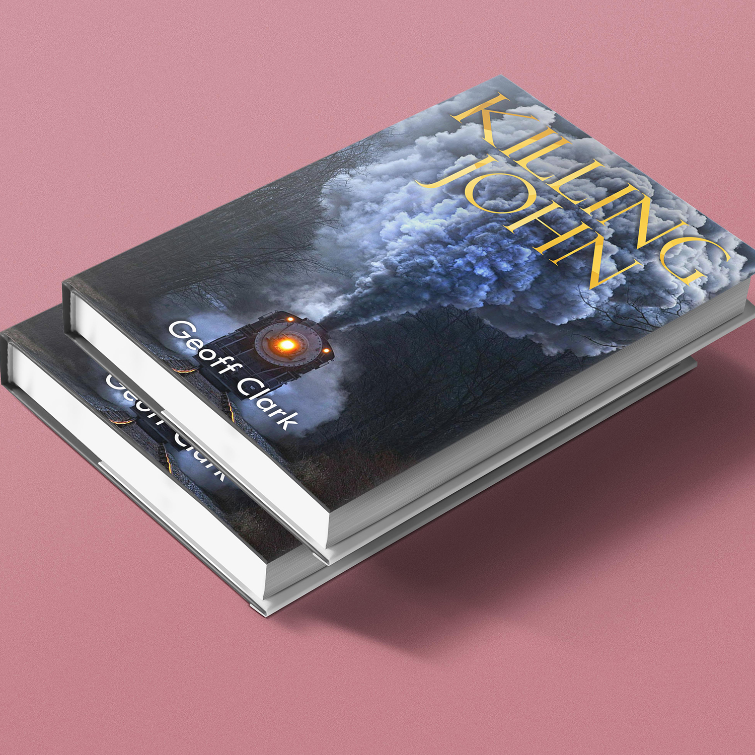 Book Cover Design by veeBC for this project | Design #20089052