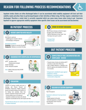 Infographic Design by Pinky 