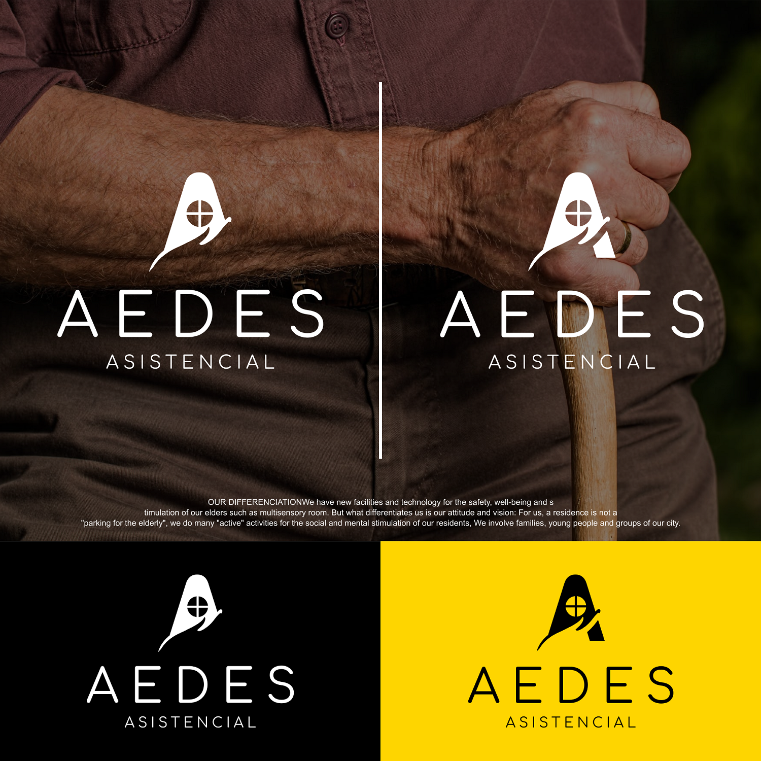 Logo Design by zatsukiki for Aedes Asistencial | Design #20089475